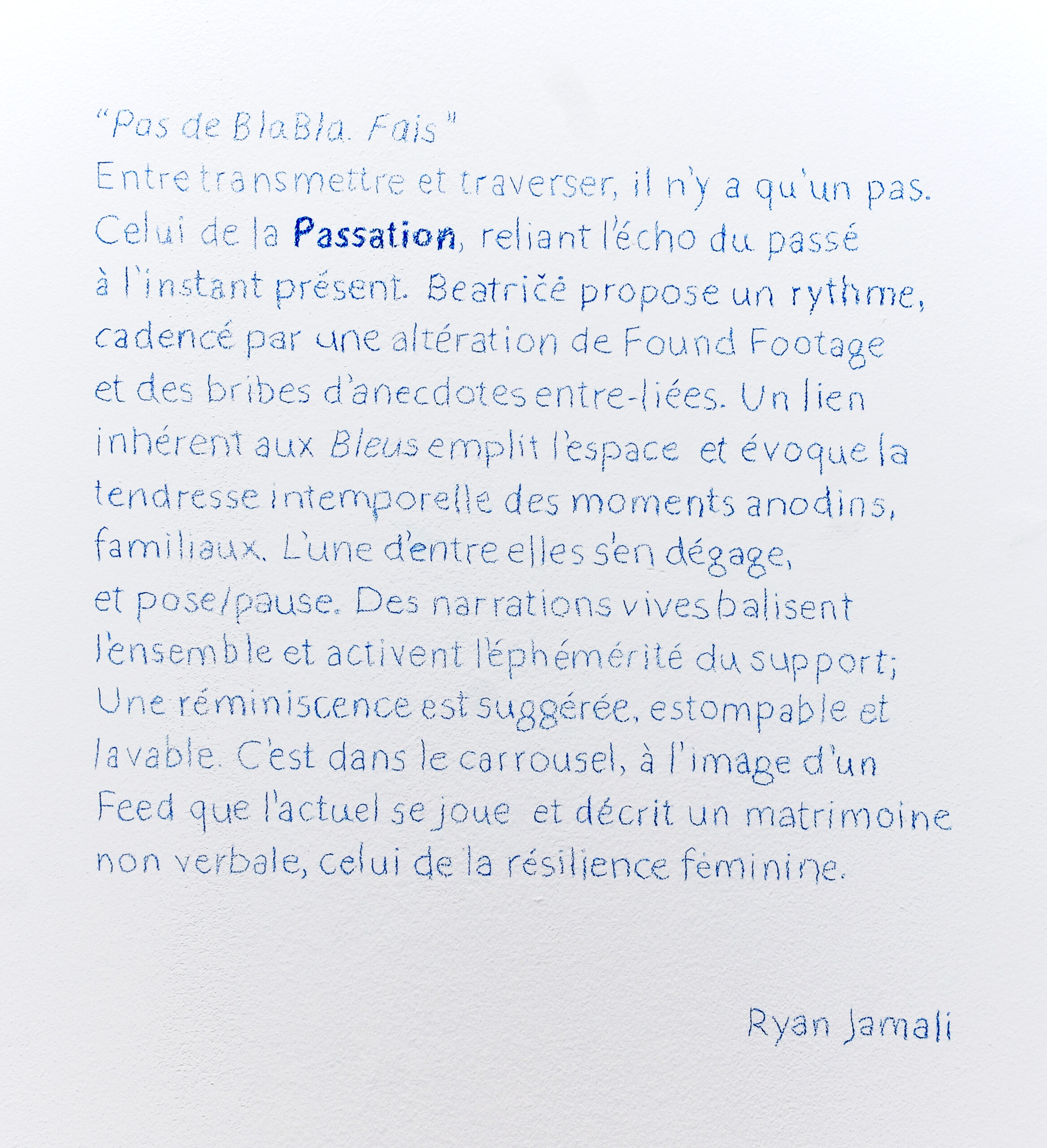 Texte de l'exposition par Ryan Jamali